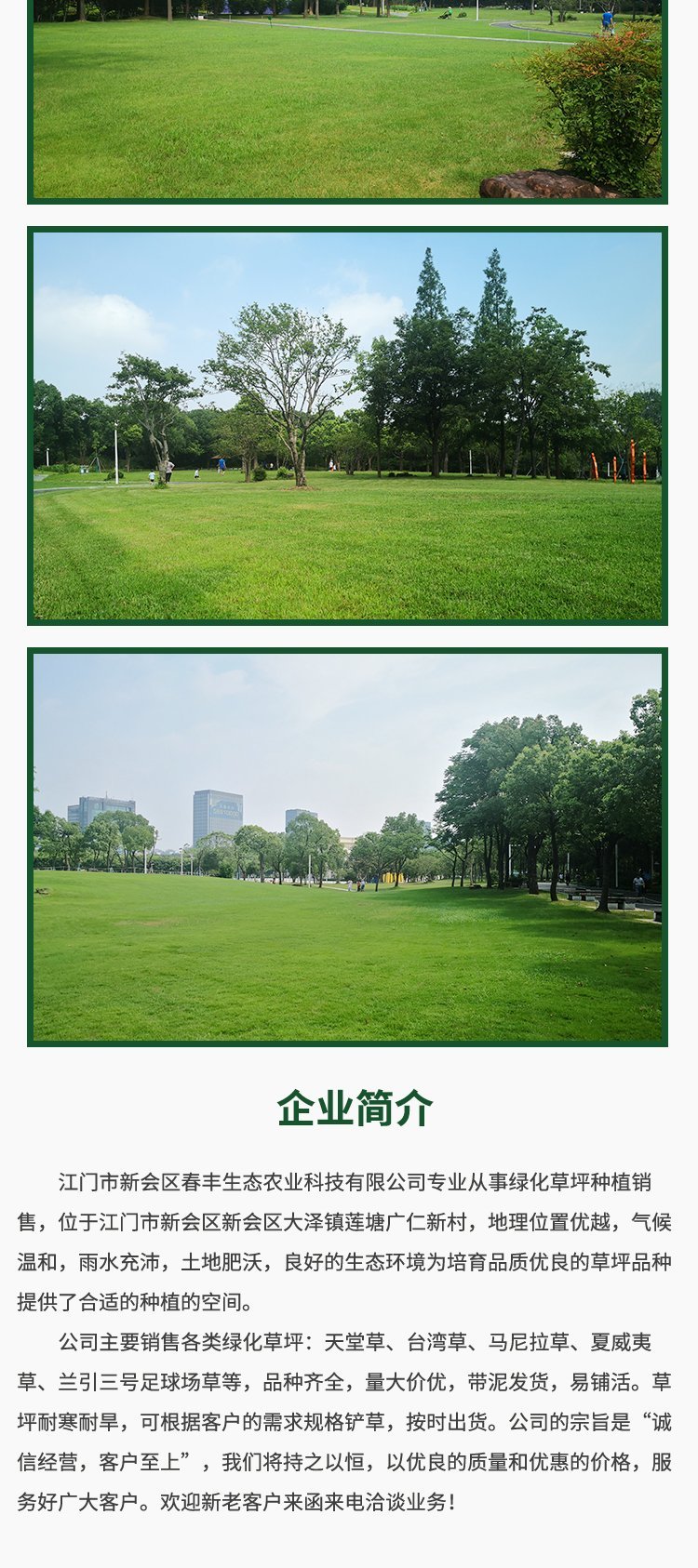 绿化天堂草坪